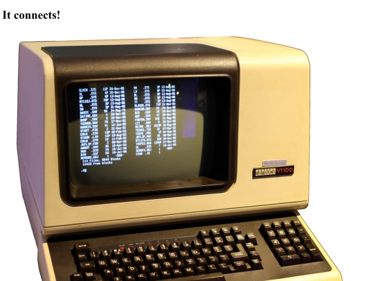 terminal screenshot