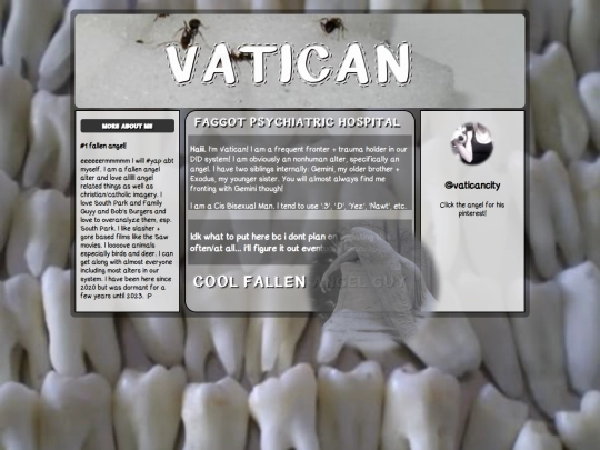 vaticans webpage/vatican screenshot