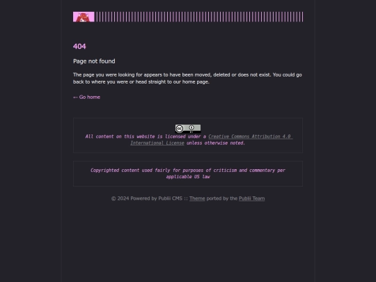 posts/404 screenshot