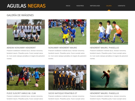 galeria screenshot
