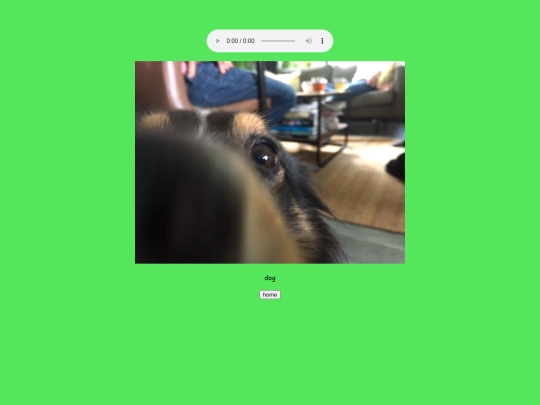 dwag screenshot