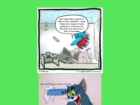 meme screenshot