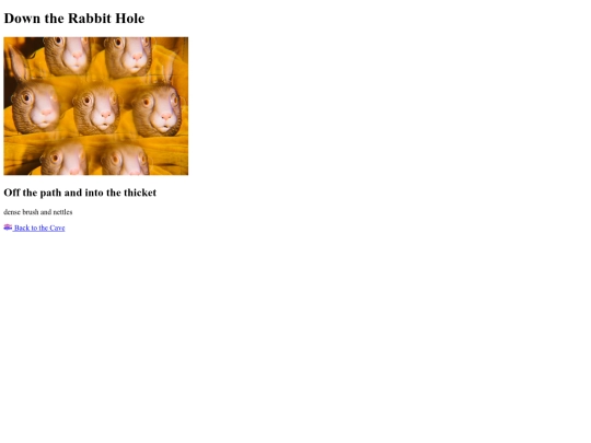 rabbit_hole screenshot