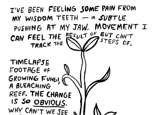 zines/growth screenshot