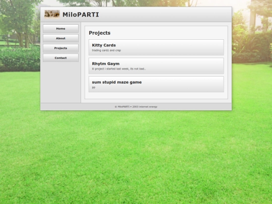 projects screenshot
