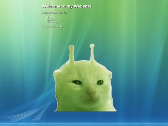 logon screenshot