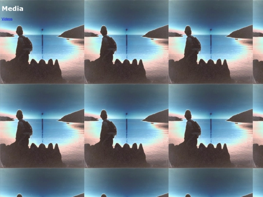 media screenshot