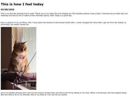 blog screenshot
