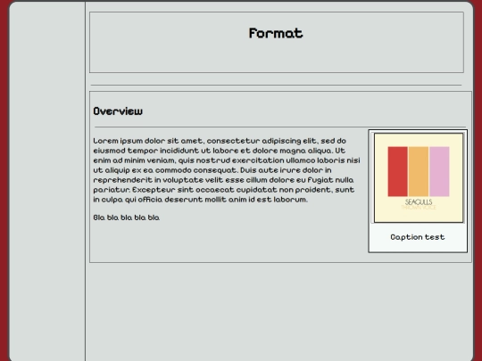 tests/test screenshot