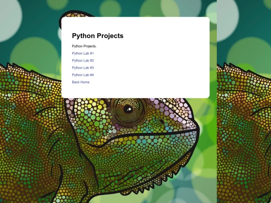 pythonprojects screenshot
