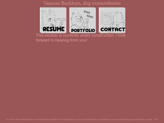 pages/contact screenshot