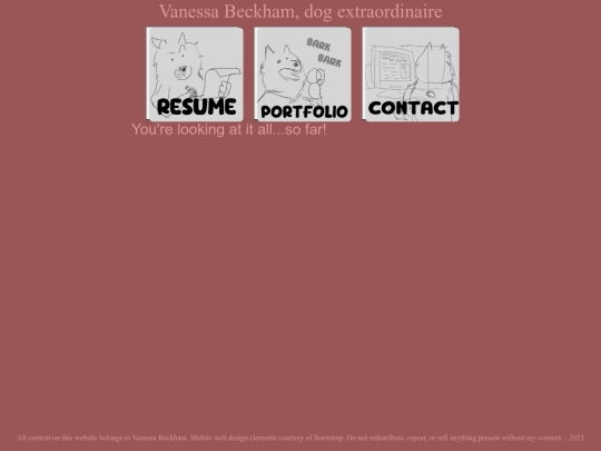 pages/portfolio screenshot