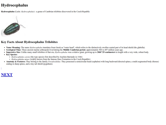 index screenshot
