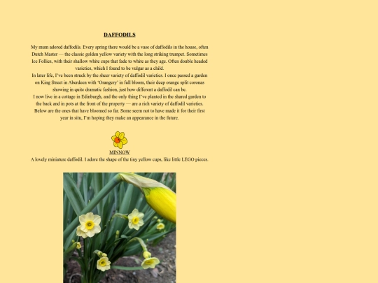 2/pages/DAFFYDILLZ screenshot