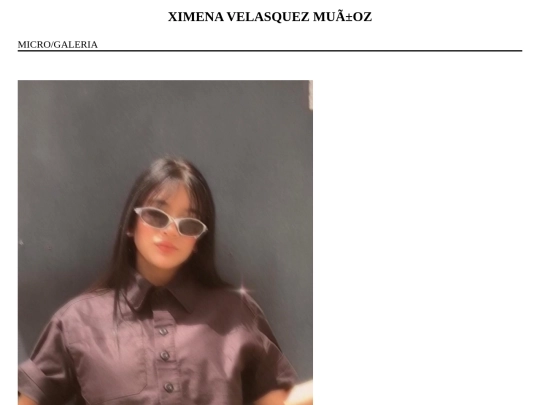 GaleriaCss/micrograleria screenshot