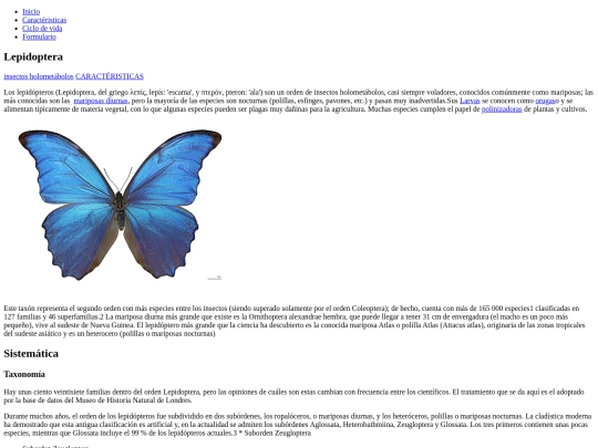 Historia de las mariposas screenshot