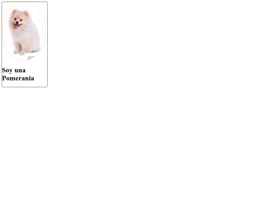 Tarjetapomeriana/pagina screenshot