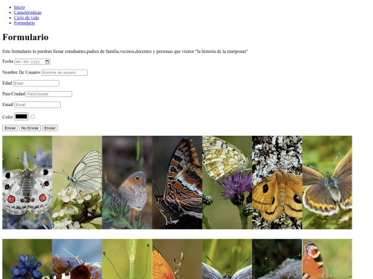 formulario screenshot