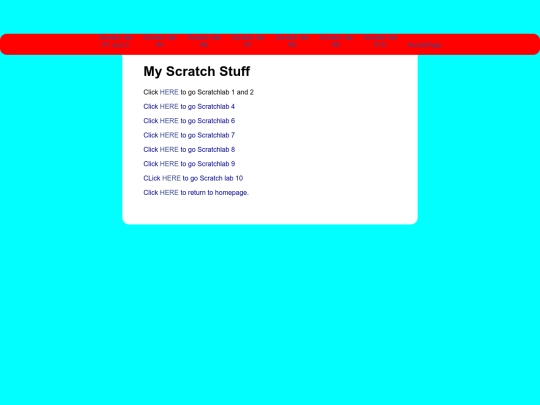 scratch screenshot