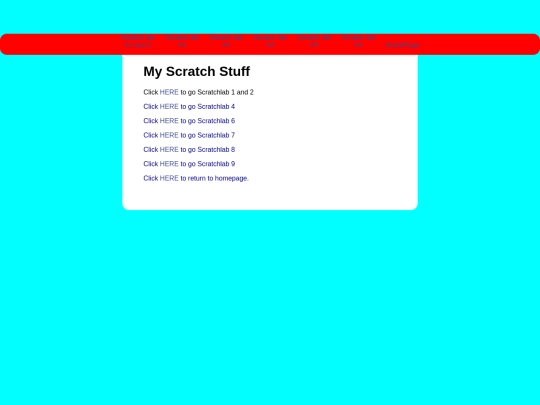 scratch/scratch screenshot