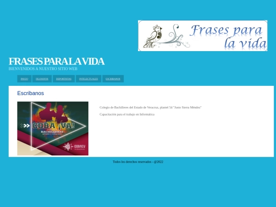 contactenos screenshot