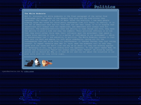 politics screenshot