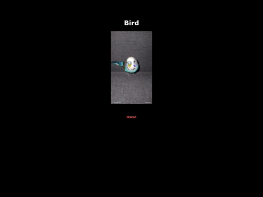 paco screenshot