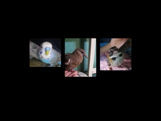 whatisthatplace screenshot