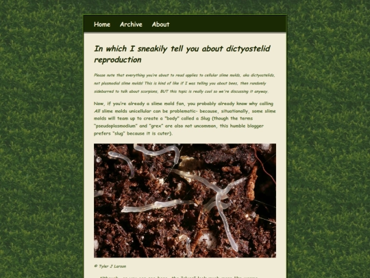 posts/Sidebar-Dictyostelid screenshot