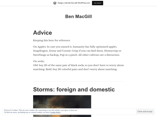 blog screenshot