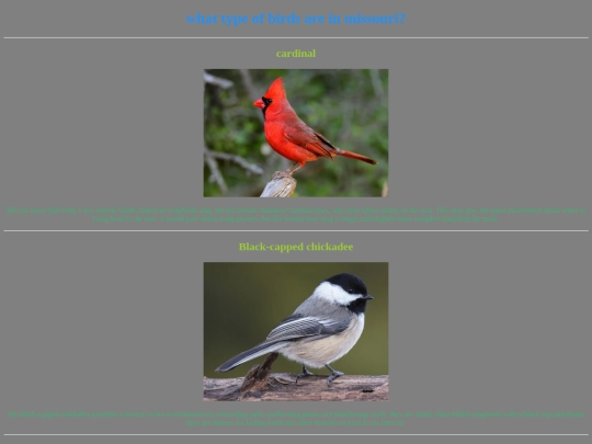 birds screenshot