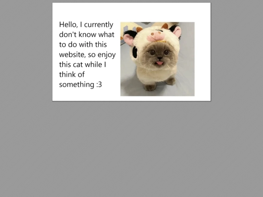 Website1 screenshot