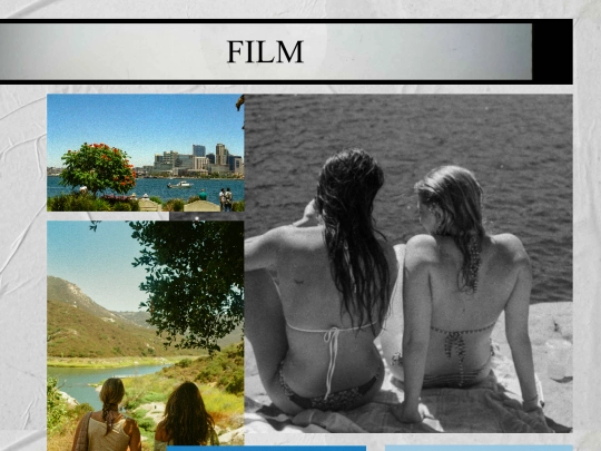 photography screenshot