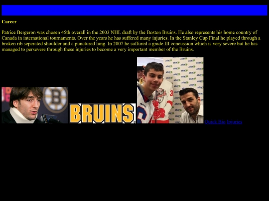 Bergeroncareer screenshot