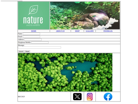 Feedback screenshot