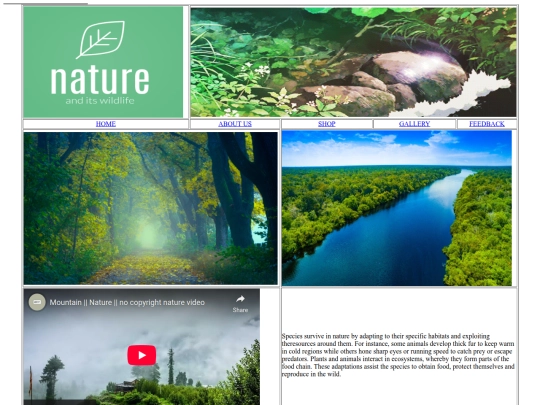Gallery screenshot
