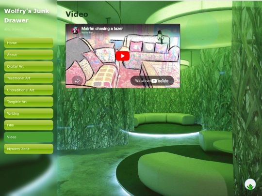 video screenshot
