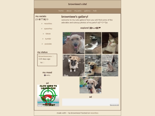 gallery screenshot