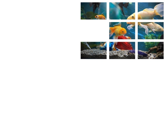 Puzzle-Project/Flex-puzzle screenshot
