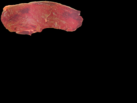 meatroom screenshot