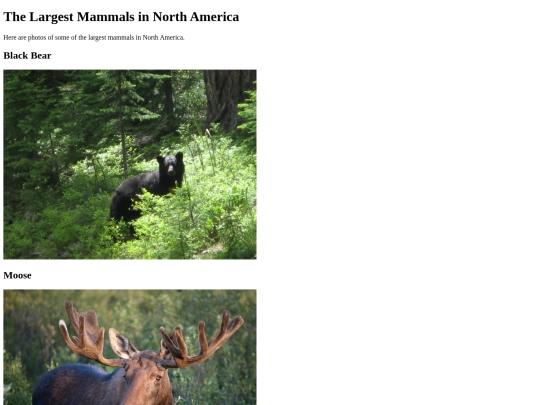 Image_Gallery_Assignment/Image_Gallery screenshot