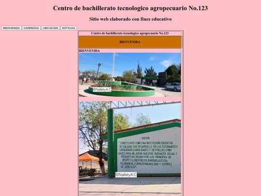 Centro de bachillerato screenshot