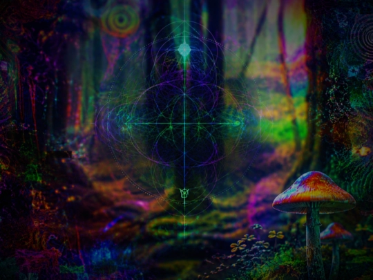 tracks/lostintheforest screenshot