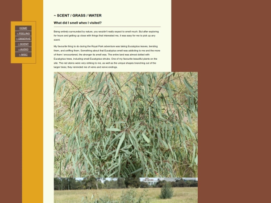 Scent screenshot