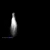 devour the flame avatar