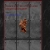 stinging-metal.neocities.org avatar