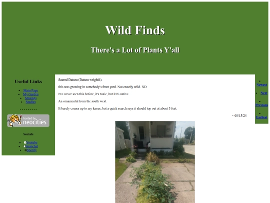 WildFinds13 screenshot