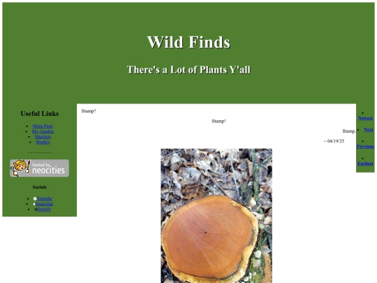 WildFinds19 screenshot