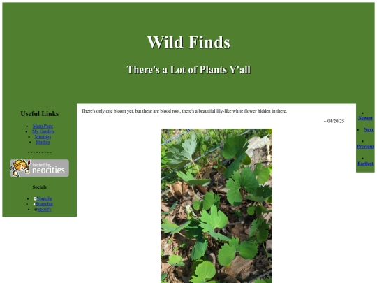 WildFinds20 screenshot