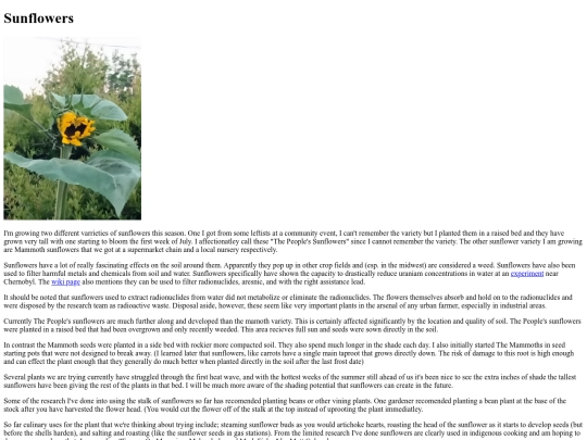 sunflowers screenshot
